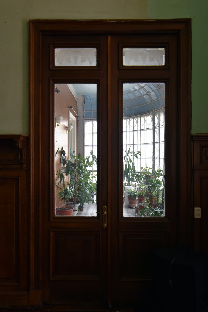 Двери с декоративным стеклом в особняке М.В. Зива на Рижском пр., 29, С.-Петербург. Фото 2021