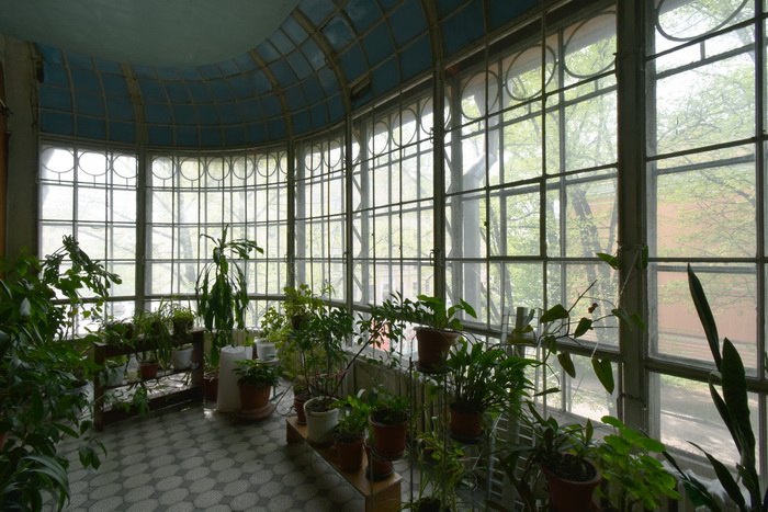 Зимний сад на 2 этаже особняка М.В. Зива на Рижском пр., 29, С.-Петербург. Фото 2021