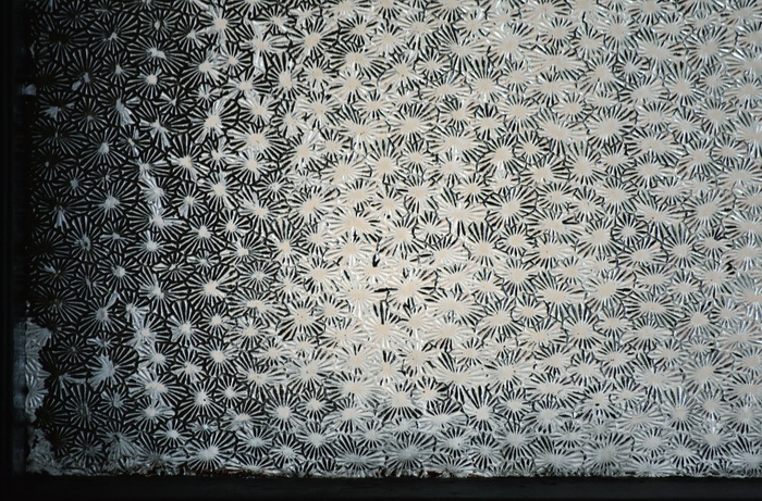 Бесцветное фактурное стекло Muranese  в окнах петербургского дома на Рыбацкой ул., 4. Фото 2020