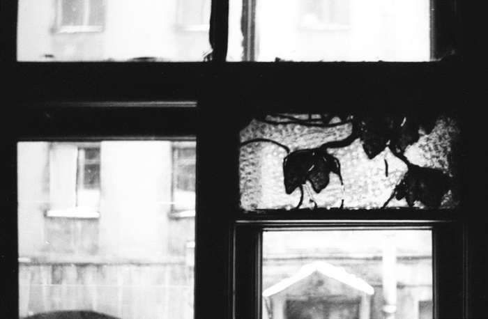 Имитации витражей в окнах лестничного объема доходного дома в Петербурге по адресу Съезжинская ул., 24. Фото Т. В. Княжицкой, 1990-е