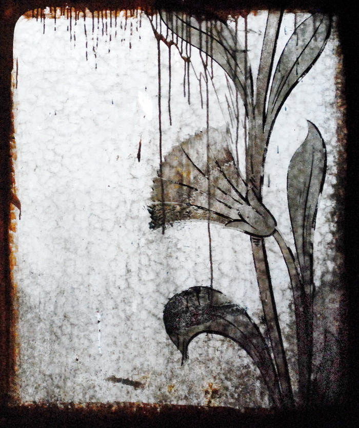 19-я линия, 14 / Большой пр., 54. Расписной стекло с изображением василька в межлестничной перегородке 3 этажа. Фото 2020